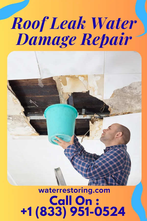 Roof Leak Water Damage Repair in Edcouch, TX